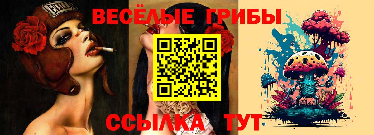 Псилоцибиновые грибы прущие грибы Сальск