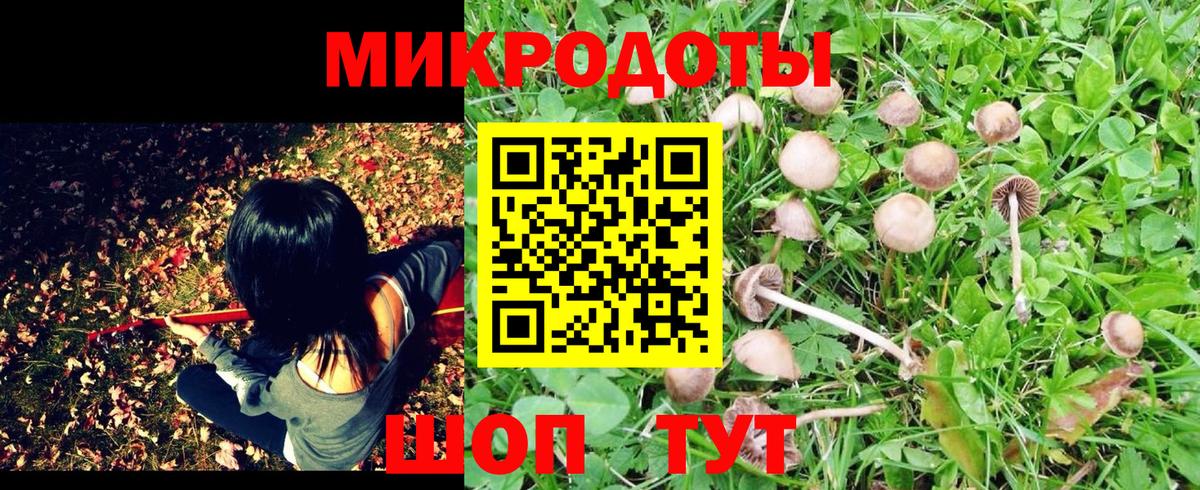 Сальск  Галлюциногенные грибы Psilocybine cubensis  Псилоцибиновые грибы Psilocybine cubensis  Вход с VPN 